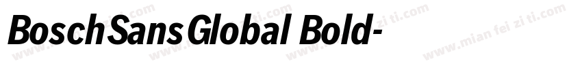 BoschSansGlobal Bold字体转换